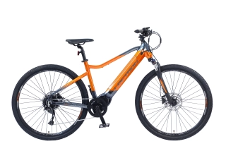 Lectron Voyager MZX 20" 17.5 Ah